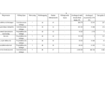 MFP-OJKJF 2021 TO_Oldal_5
